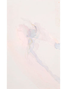 SOFT FOCUS