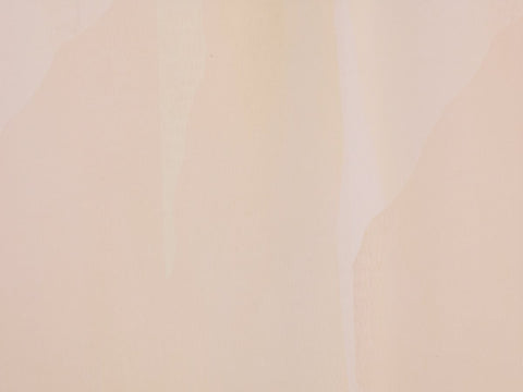 BLURRED LINES DREAM